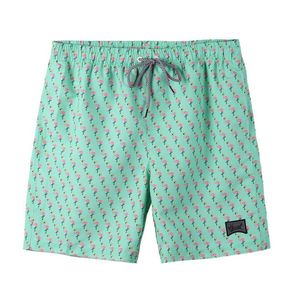 Boys' Swim Trunks Quick Dry Hawaii Style Shorts with Mesh Liner